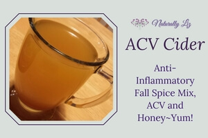 ACV Cider (Anti-Inflammatory Fall Spice Blend with ACV and Honey ...
